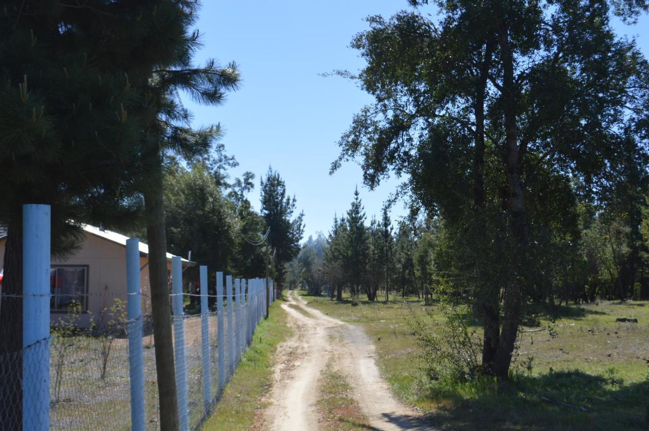 Coyunche Cabanas Y Camping Laja & San Rosendo Екстериор снимка