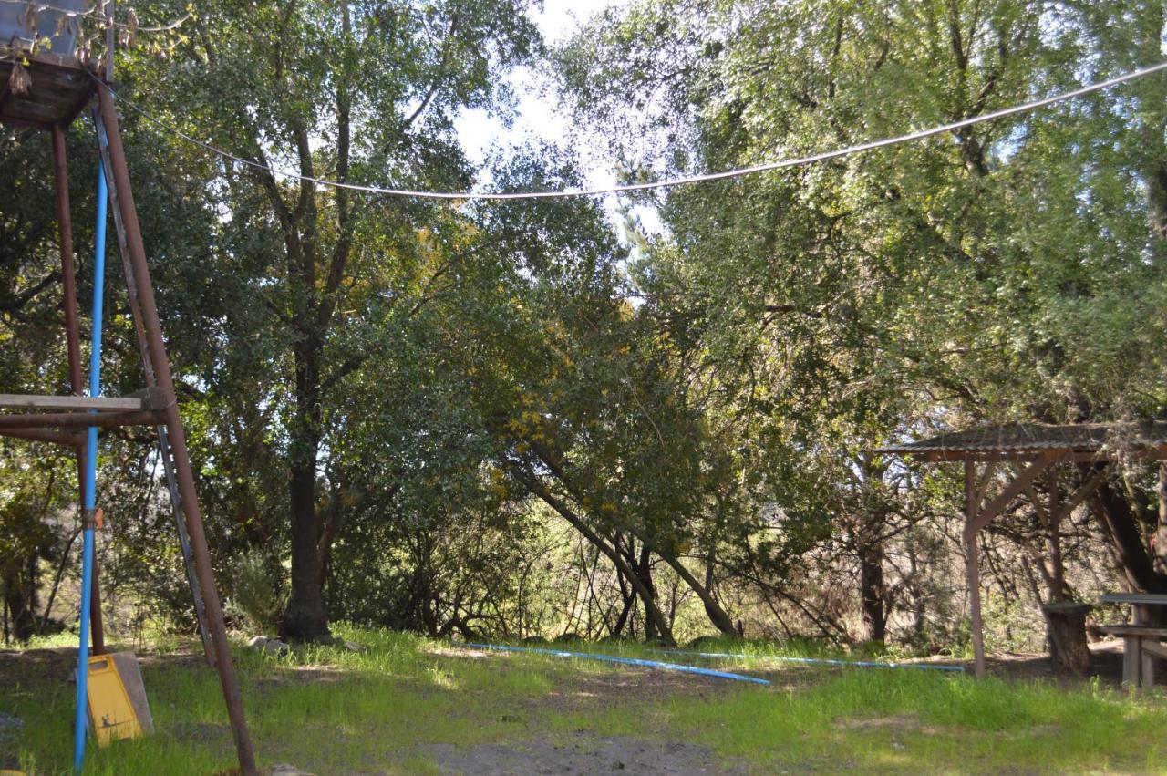 Coyunche Cabanas Y Camping Laja & San Rosendo Екстериор снимка