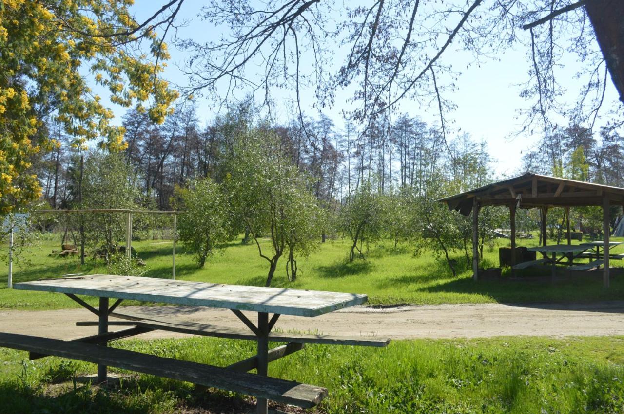 Coyunche Cabanas Y Camping Laja & San Rosendo Екстериор снимка