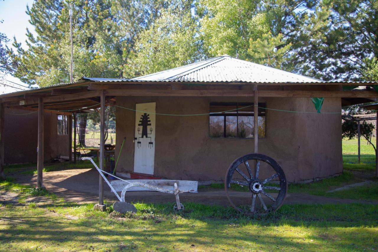 Coyunche Cabanas Y Camping Laja & San Rosendo Екстериор снимка
