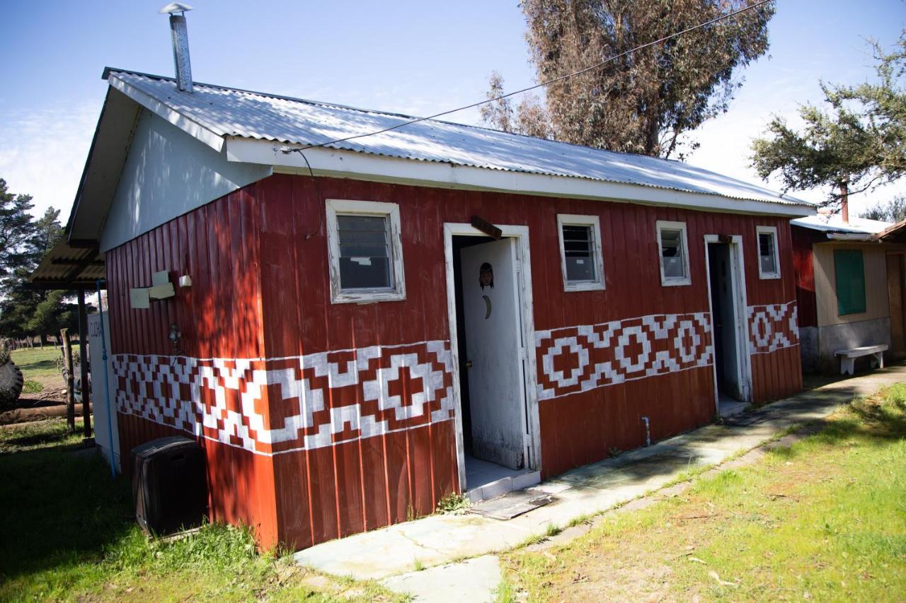 Coyunche Cabanas Y Camping Laja & San Rosendo Екстериор снимка